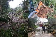 Afectaciones por lluvias en Ibagué 