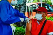 vacunación en Ibagué