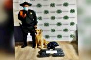 Sacaron de circulación 6 kilogramos de marihuana en la capital tolimense