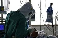 candida auris colombia contagio del súper hongo