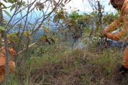 Incendios Forestales