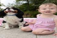 Perro salvó a bebé