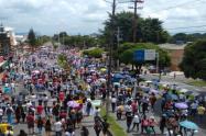 Manifestaciones 