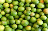 Productos cítricos 