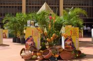 Café, Cacao y Agroturismo 