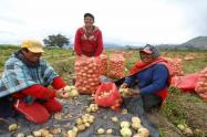 Campesinos