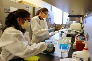 Laboratorio Salud Publica 