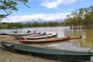 Pueto Momico Hobo Huila