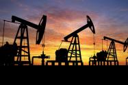 Petroleo