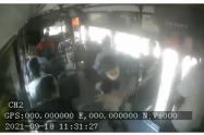 robo de perrito en buseta Ibagué