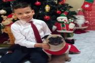 Sasha, perrita Pug en Ibagué 