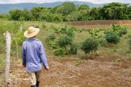 Unidad de Restitución de Tierras