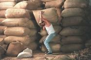 Café Colombia - trabajador y recolector