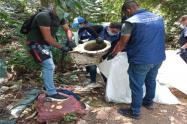 Campaña de recolección de inservibles en Ibagué 