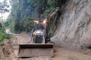 Apoyo en la zona rural en Ibagué