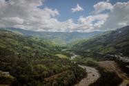 Cajamarca Palma de Cera
