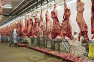 Carne 