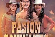 Pasión de gavilanes