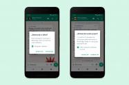 Reportar usuario de WhatsApp