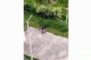 Maltrato animal en el conjunto Altos de Berlín en Ibagué