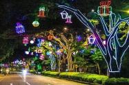 Alumbrado Navideño 2021 Ibagué 