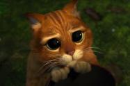 Gato de Shrek 2 