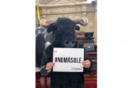 Corridas de toros / Prohibir corridas de toros