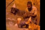 Habitante de calle se volvió viral por celebrarle el cumpleaños a sus perros