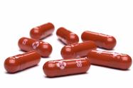 Molnupiravir, medicamento usado para tratar covid-19