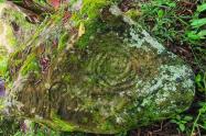 Piedra con petroglífos en formas en espiral y antropomorfas