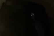 Skinwalker