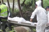 Imagen de apoyo levantamiento de cadaver
