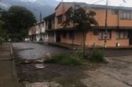 Hueco y árboles en plena vía pública 