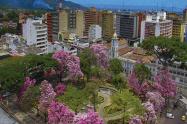 Panorámica de Ibagué florecida de Ocobos