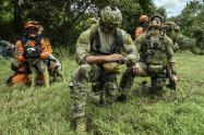 Ejército de Brasil
