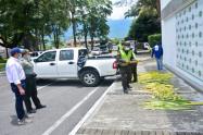 Incautación Palma de Cera