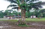 Zona de operativo militar en puerto Leguízamo