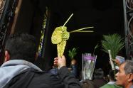 Ramos Semana Santa 