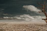 cambio climático