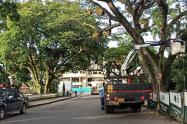 Parque Centenario de Ibagué