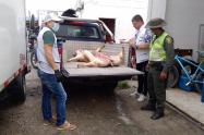Intensifican controles a la venta de carne de cerdo y expendios de licor.
