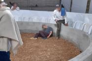 Asesinaron a juez de gallos en zona rural de Alvarado