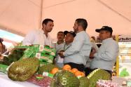 Agricultura Mariquita