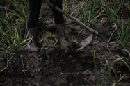 Campesino con botas de caucho 
