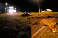 Murió al chocar su motocicleta con un caballo