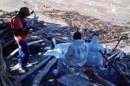 Encuentran el cuerpo sin vida de una niña a orillas del Magdalena en Honda