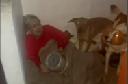 Su nieto la dejó encerrada en un cuarto oscuro con ocho perros