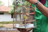Alertan uso ilegal de jaulas para atrapar aves.