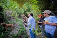 Cortolima