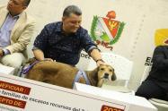 Gobernador - Hospital veterinario del Tolima